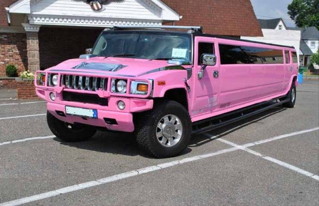 Phoca Thumb L Pink Hummer