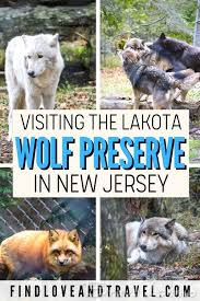 Lakota Wolf Preserve - 10 Top Places To Travel In New Jersey With A Limousine.