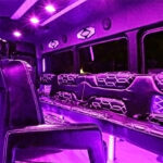 Mercedes Limo Bus Sprinter12